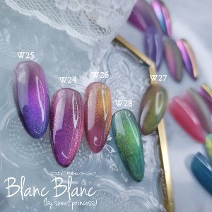 드래곤 아이 자석 파우더 시리즈 (5가지 색상) [W24, W27],블랑블랑